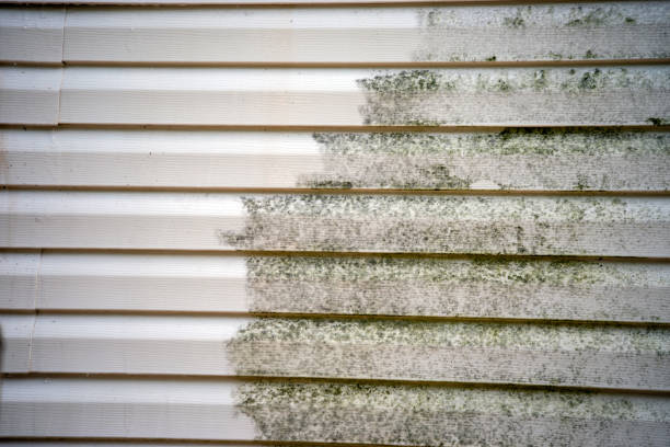 Best Demolition Debris Removal  in Gueydan, LA